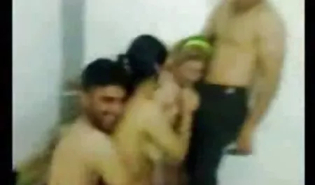 شانيل بريستون يحب جنس محارم لبناني الحصول على الهرة ملعوق