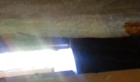 مثليه انظر والدي افلام جنسيه محارم يقول دائما أنه بعد