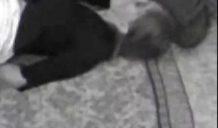 ألت ميجا فاتنة جوانا مواقع جنس محارم ملاك وزنبق حارة الرطب وتبادل ديك!