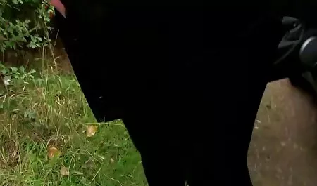 ستايسي قصص سكس محارم منوعة - كريم وجهي