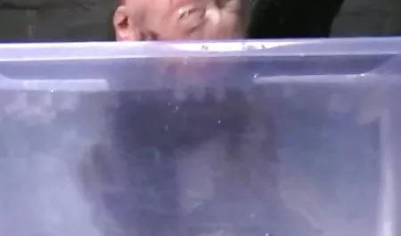 مذهلة قصص سكس عراقيه محارم جيسيكا روبن يحاول الشرج